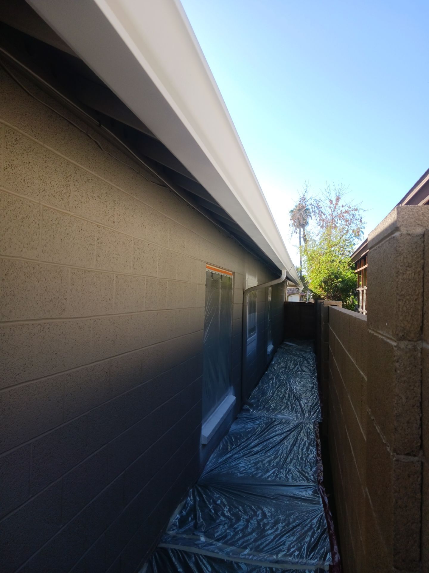 Phoenix by Crash of Rhinos Painting & Garage Floors