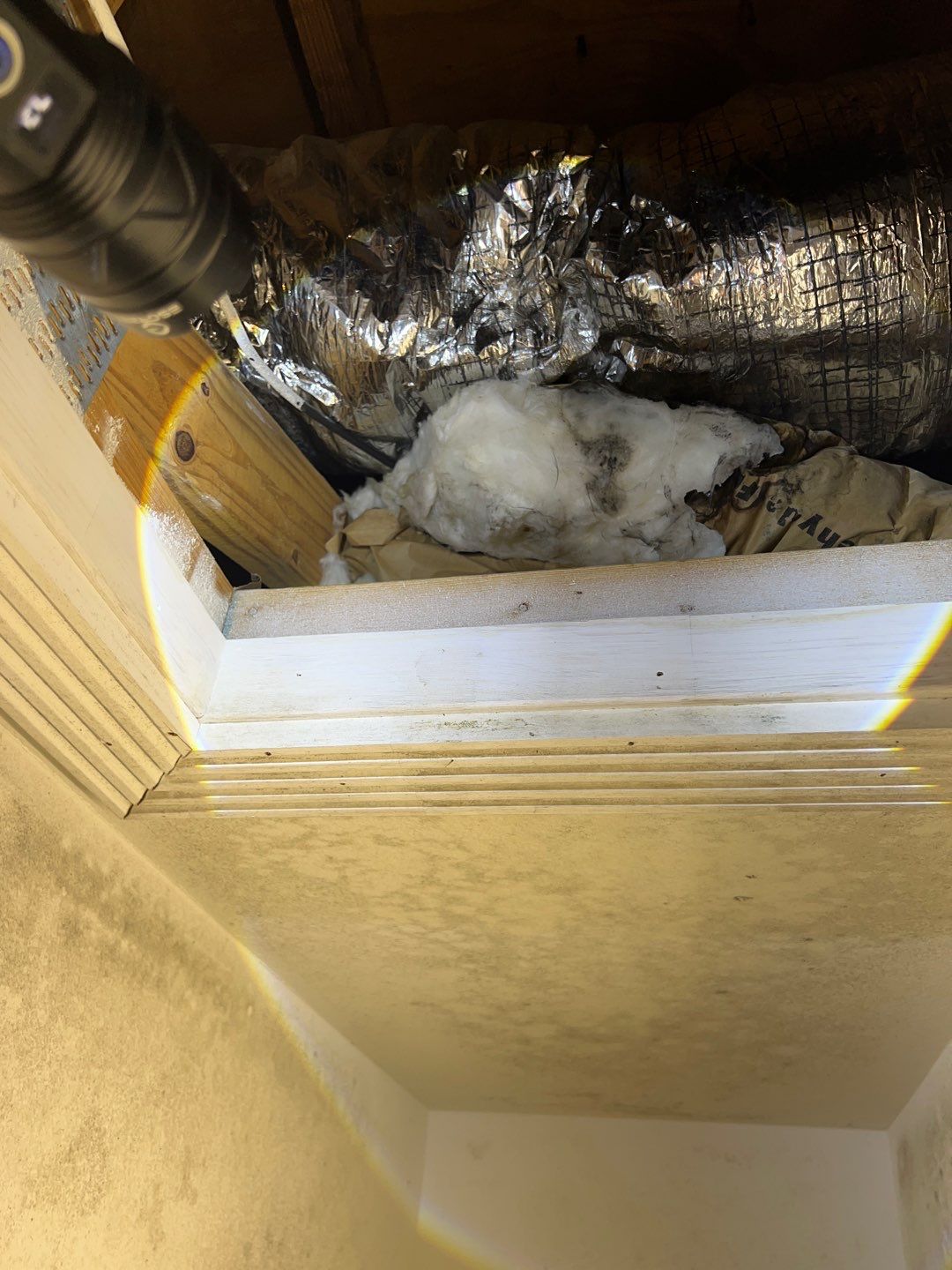 Holmes Beach AC Mold Deep Cleaning by Ampm Restoration Services