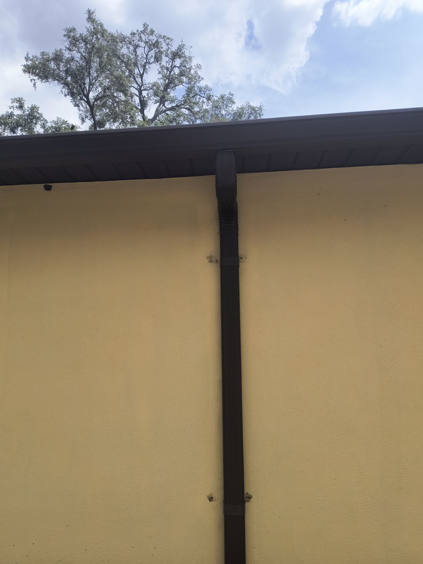Musket Brown 6-Inch Gutters in Tampa FL by Gutter Professors
