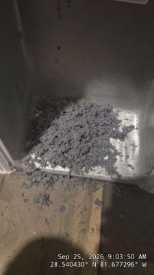 Dryer Vent Cleaning in Clermont