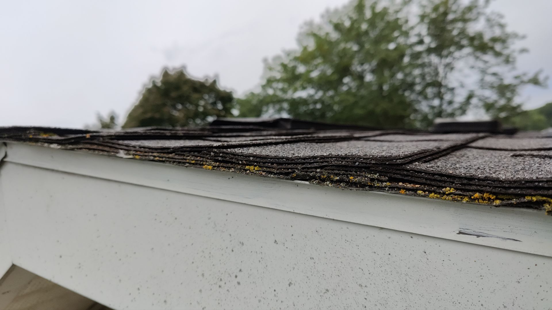 Roof Replacement using Owens Corning Onyx Black by 180 Contractors