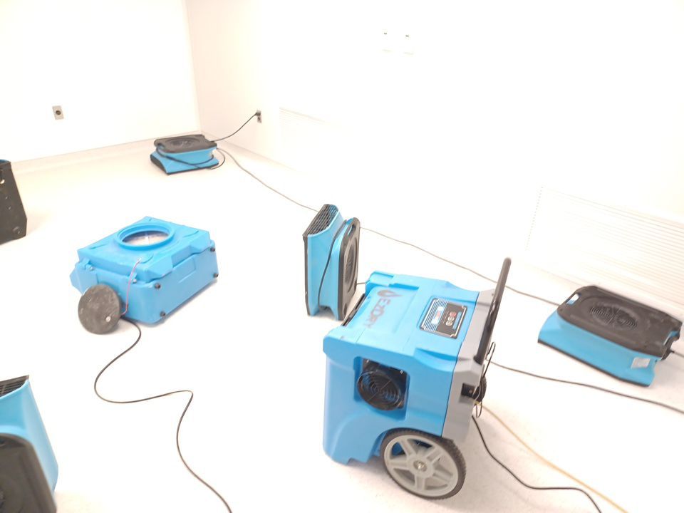 Project in Novi by EzDry Water Mitigation & Property Restoration