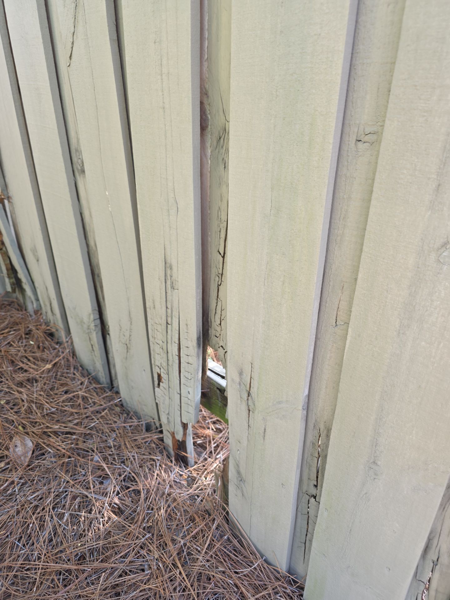 Fence Repair using Severe Weather 2-in x 4-in x 8-ft #2 Prime Southern yellow pine Above ground Pressure Treated Lumber by RGR Construction and Roofing, LLC