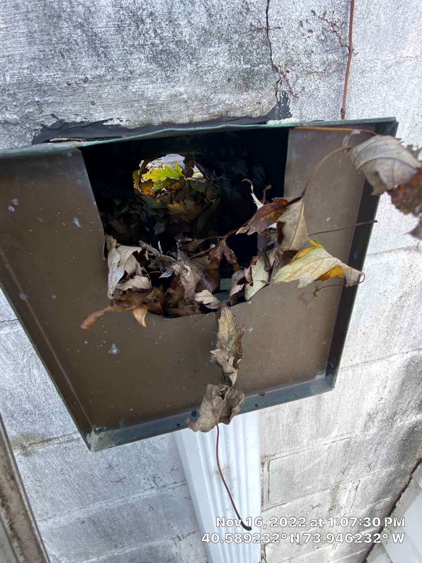Flat Roof Cleanup Brooklyn by Above All Gutters