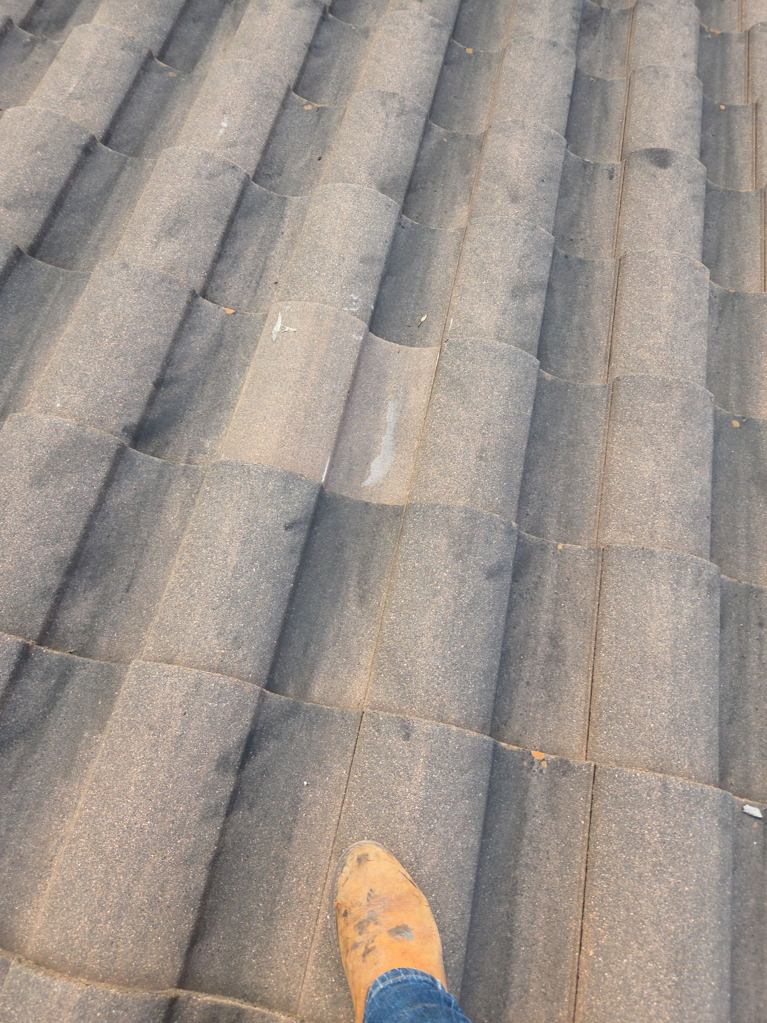 Lots of tile repairs out in Spicewood by REPS OF TEXAS