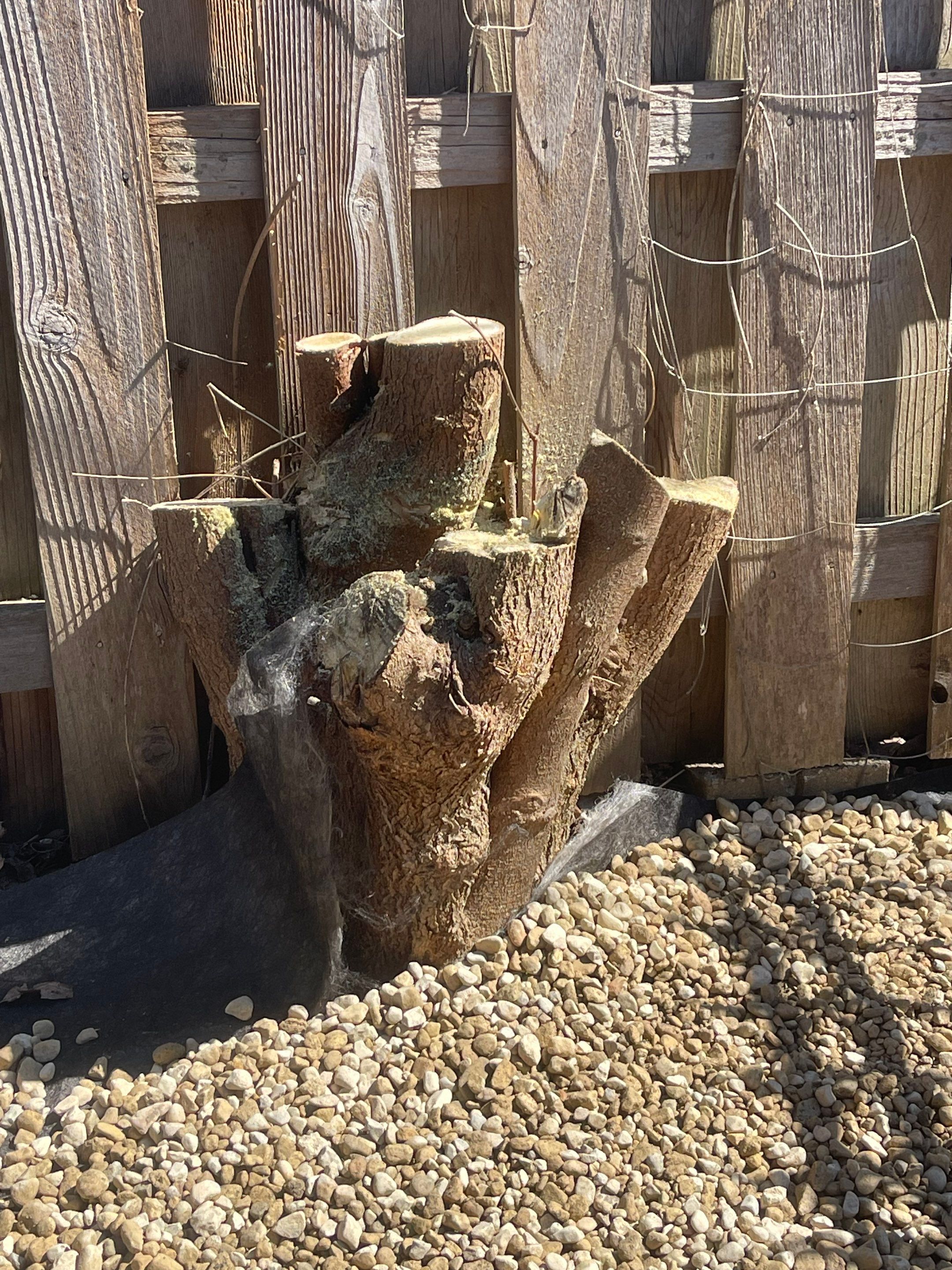 Rock Installation behind garage  by A&N 