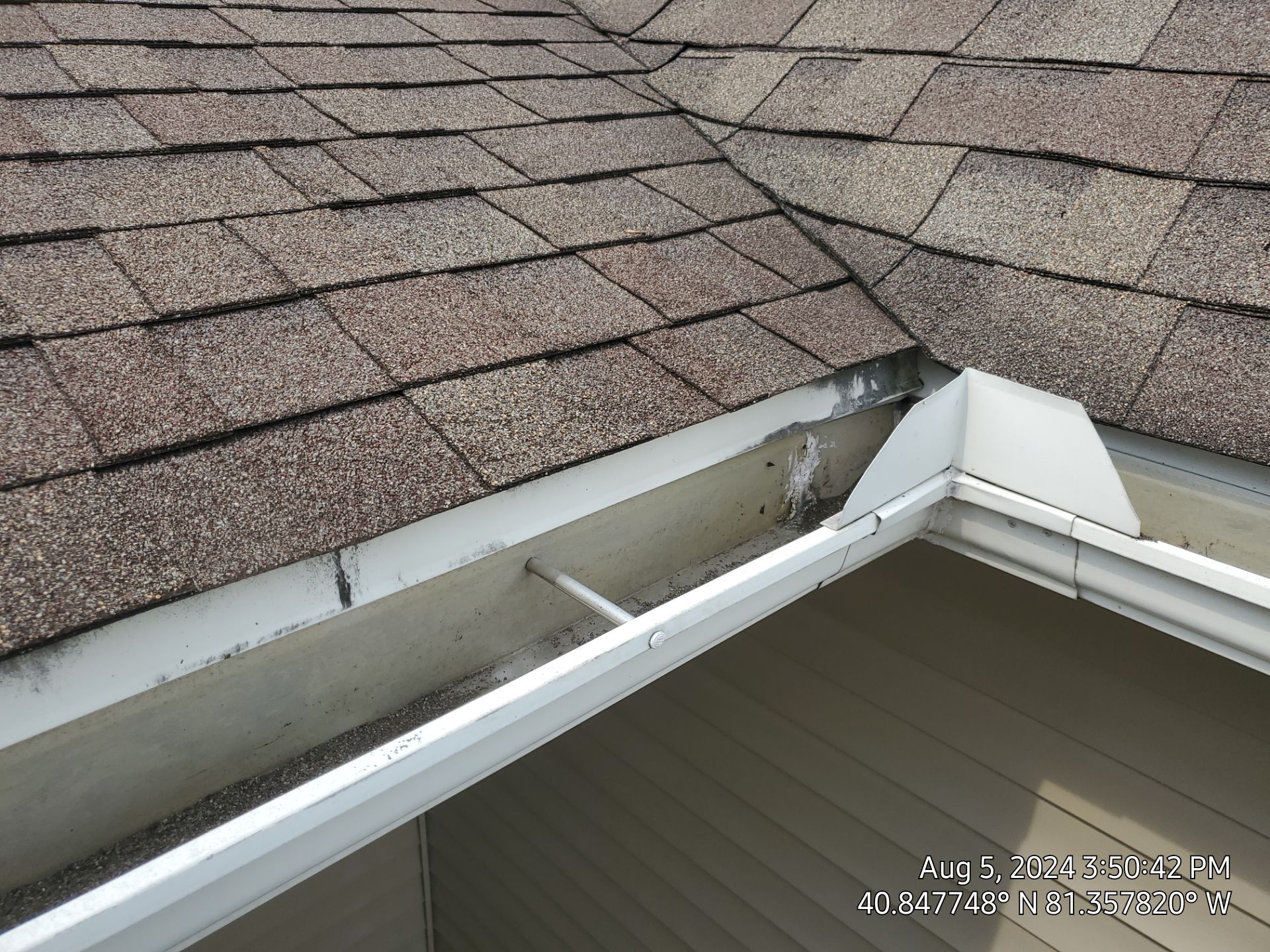 Rae Looby by Silver Leaf Contracting 