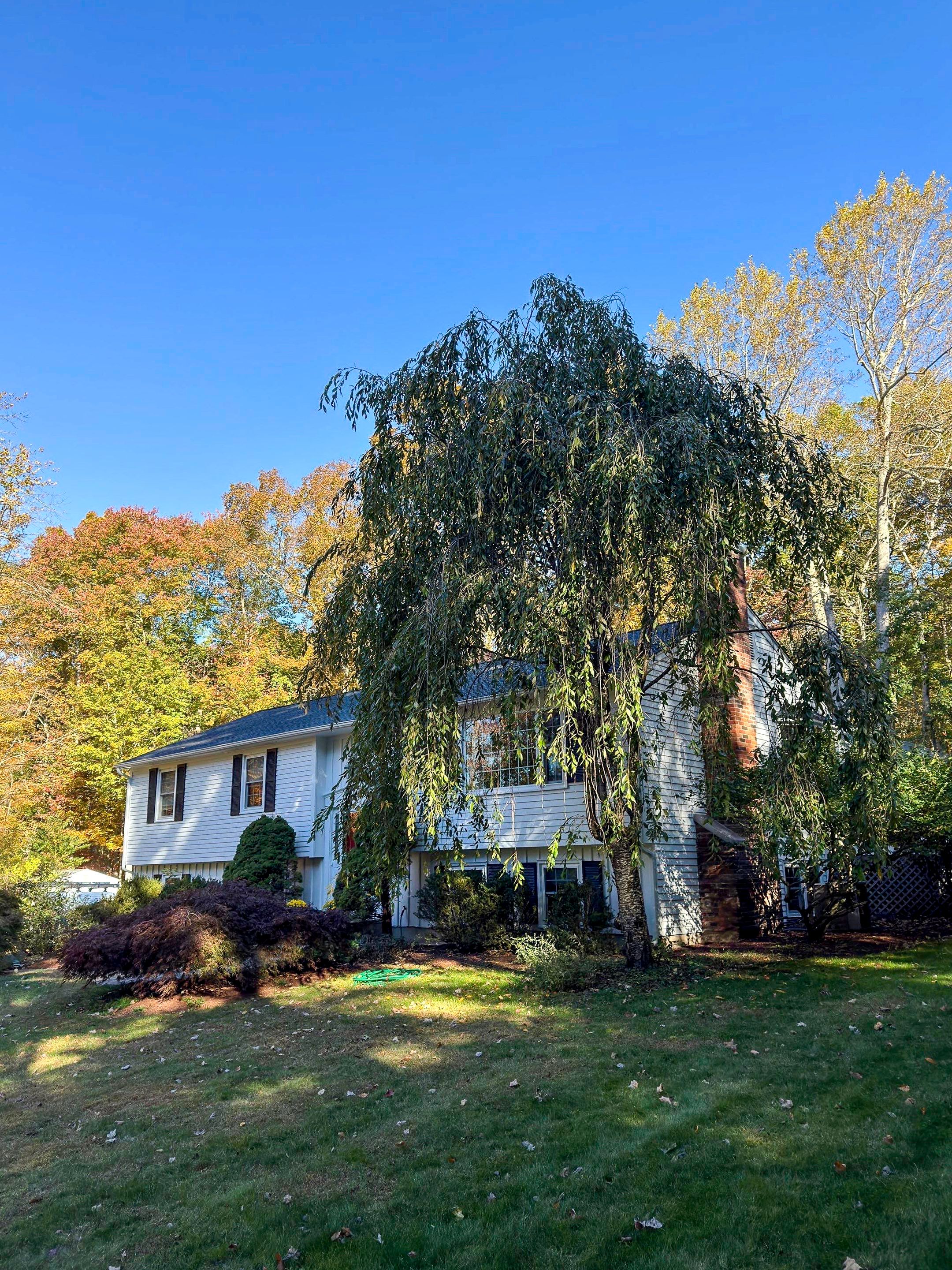 Exterior Painting using Benjamin Moore Aura Exterior by Trendy Walls Inc.