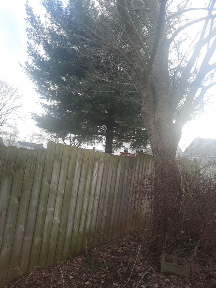 Tree Removal using Tree Removal by Mike Jones & Sons Tree Service LLC 