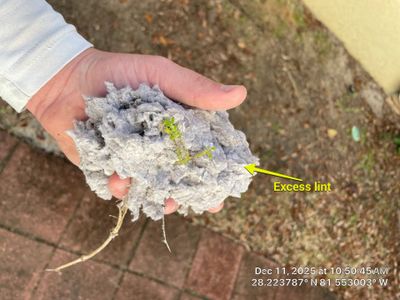 Dryer Vent Cleaning in Davenport