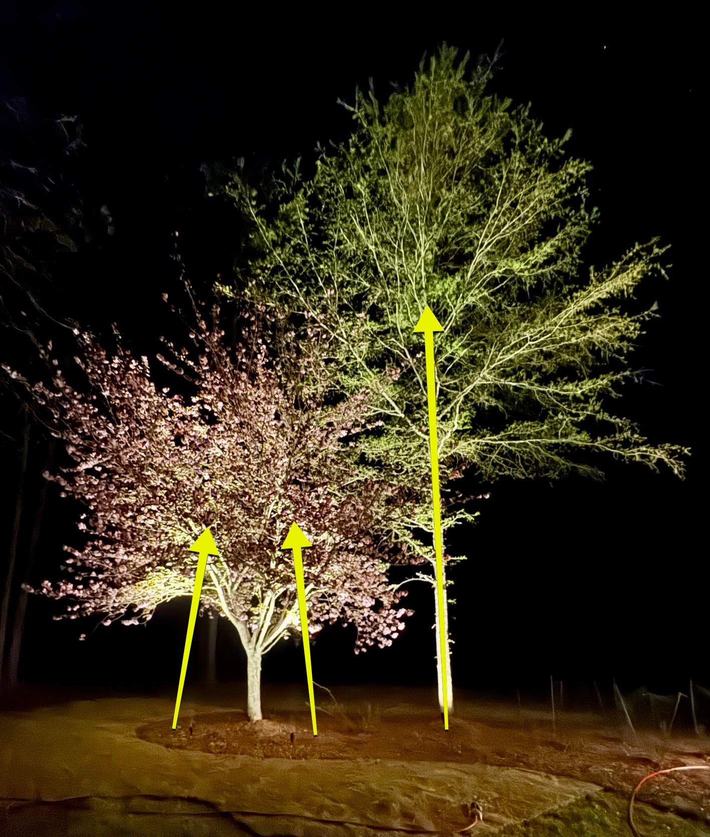 COLD Project by Georgia Outdoor Decor