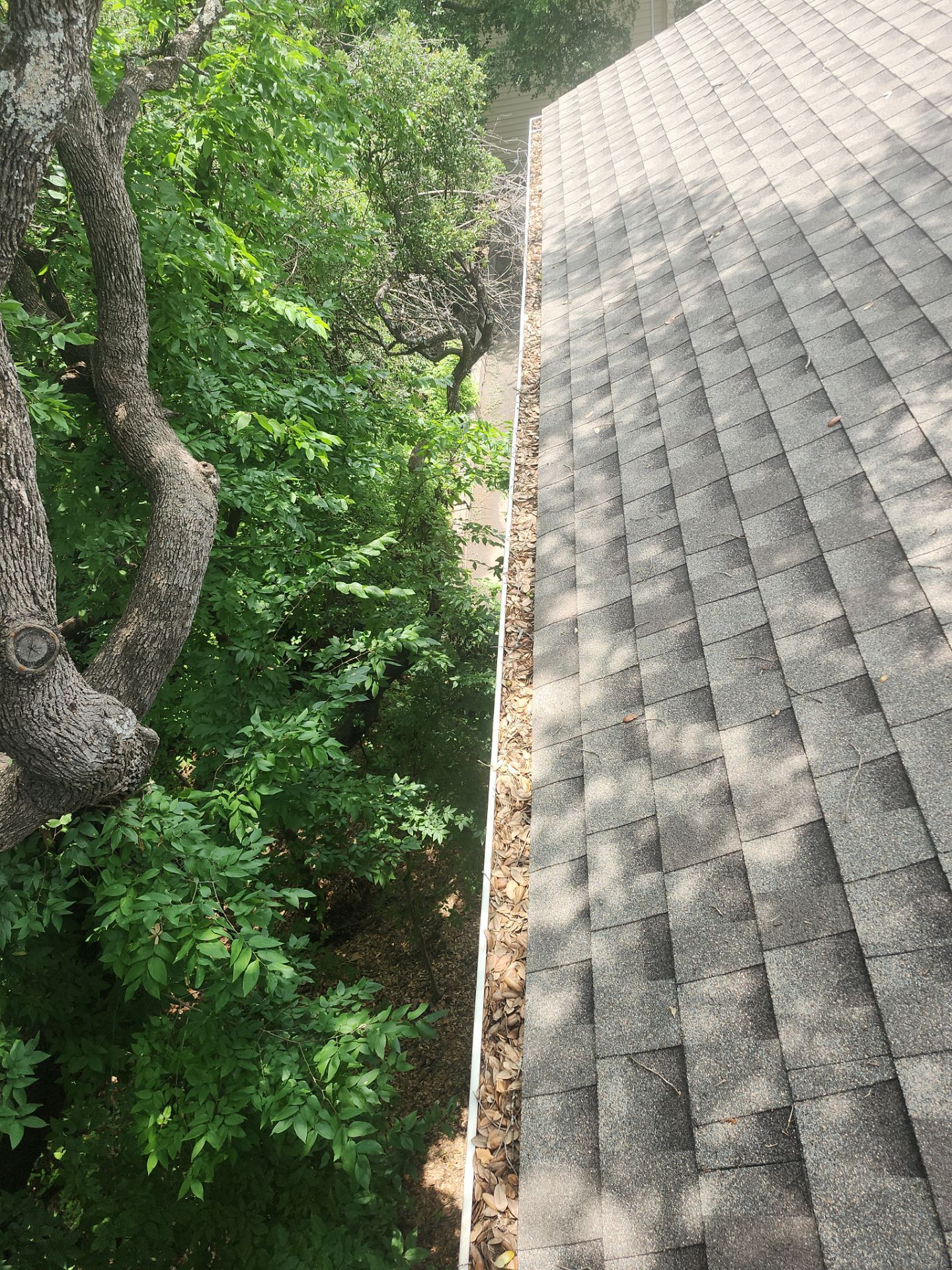 Commercial gutter cleaning Georgia before photo with filled gutters