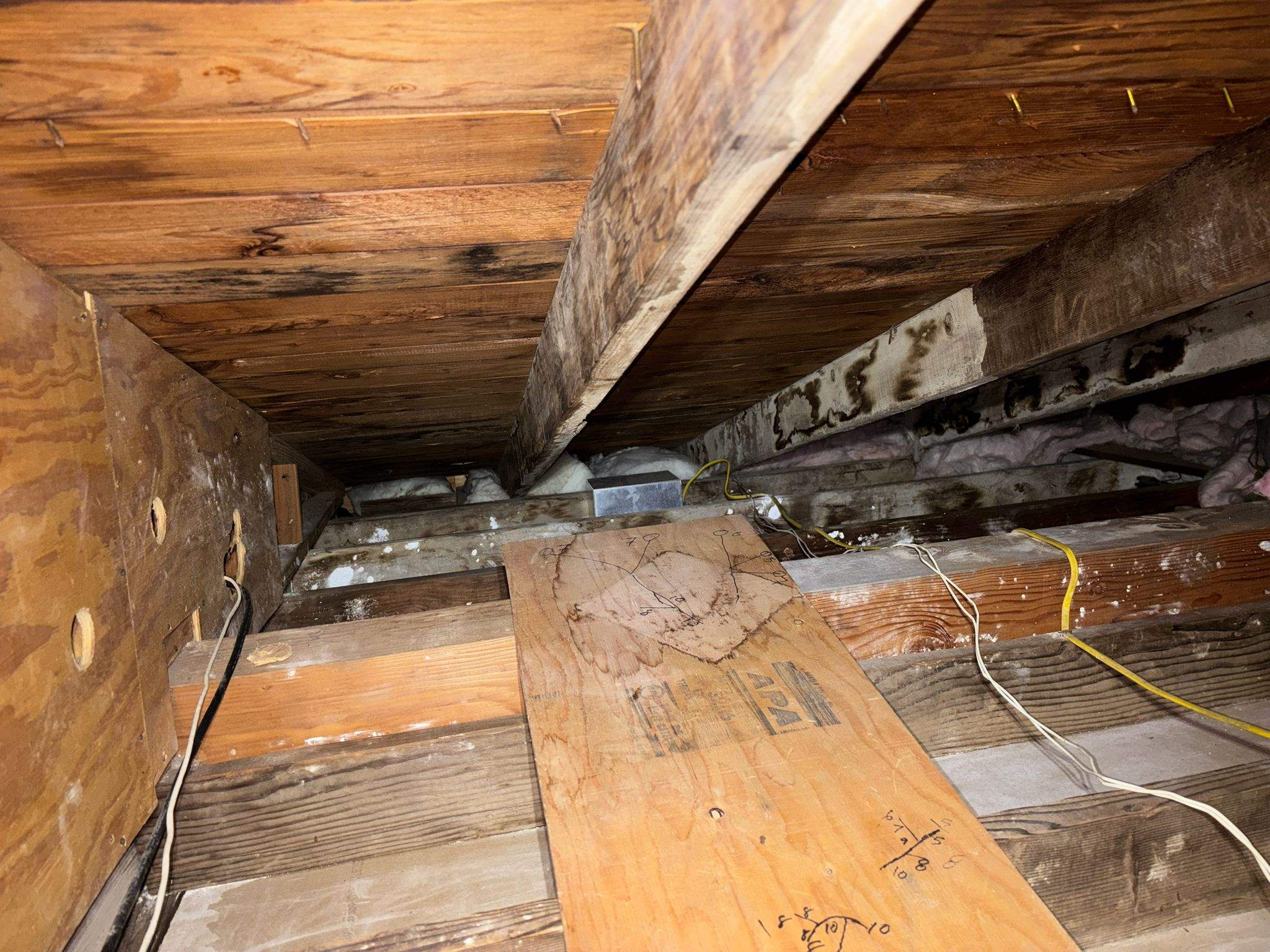 Project in Pacific Palisades by Insulation Labs