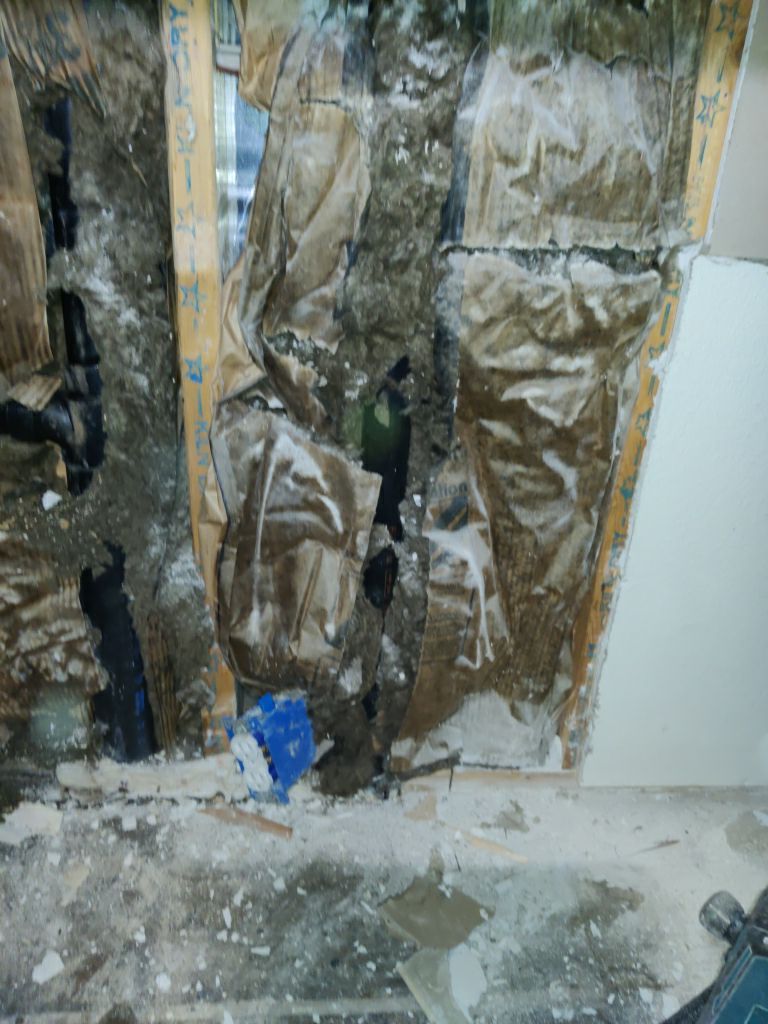 Mold Remediation using Containment by Accountable Home Services