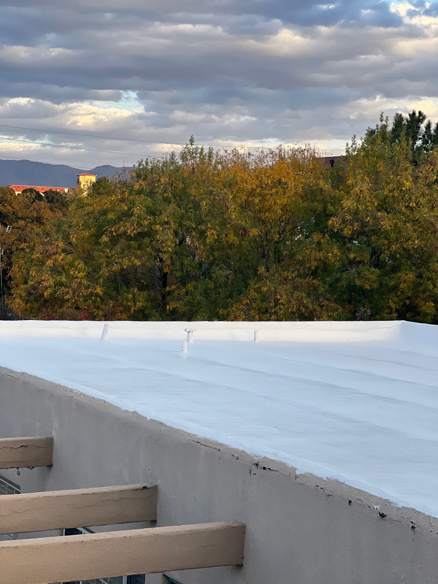 Las Palmas Apartments by SPF Services 