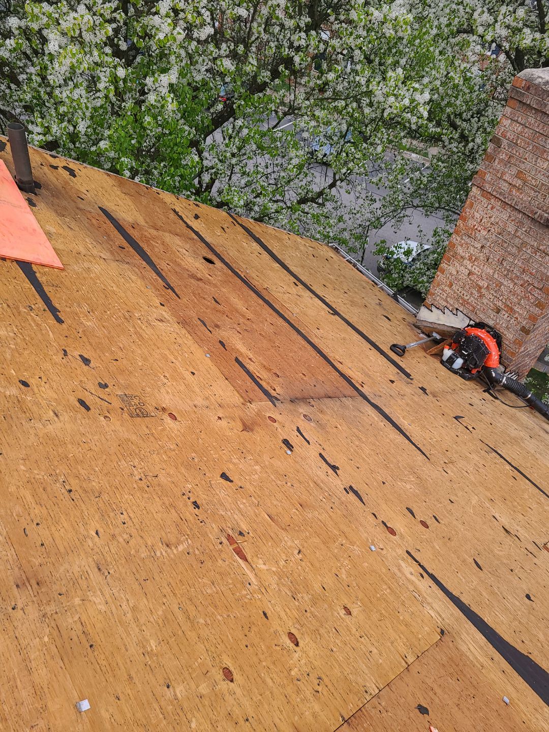 Springfield: Residential Roof Replacement with CertainTeed Landmark Pro in Max Def Red Oak by RM Banning, Inc.