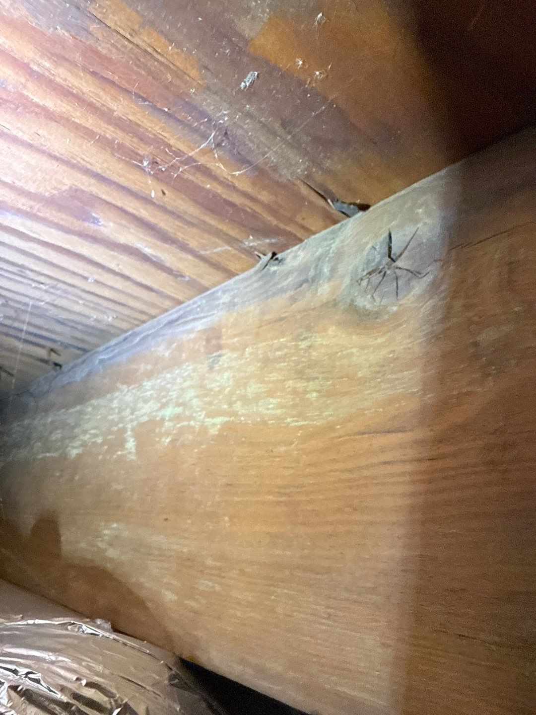 Post‑Remediation Clearance Test & Corrective Mold Remediation, Dover, DE. by Healthy Home Solutions