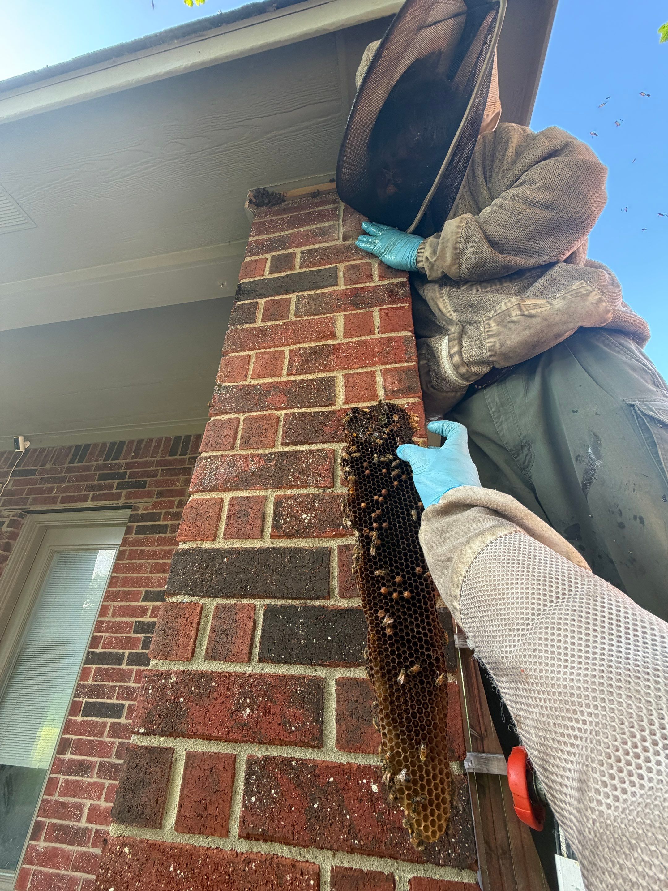 Brick Column by Rockwall Honey Bee Company