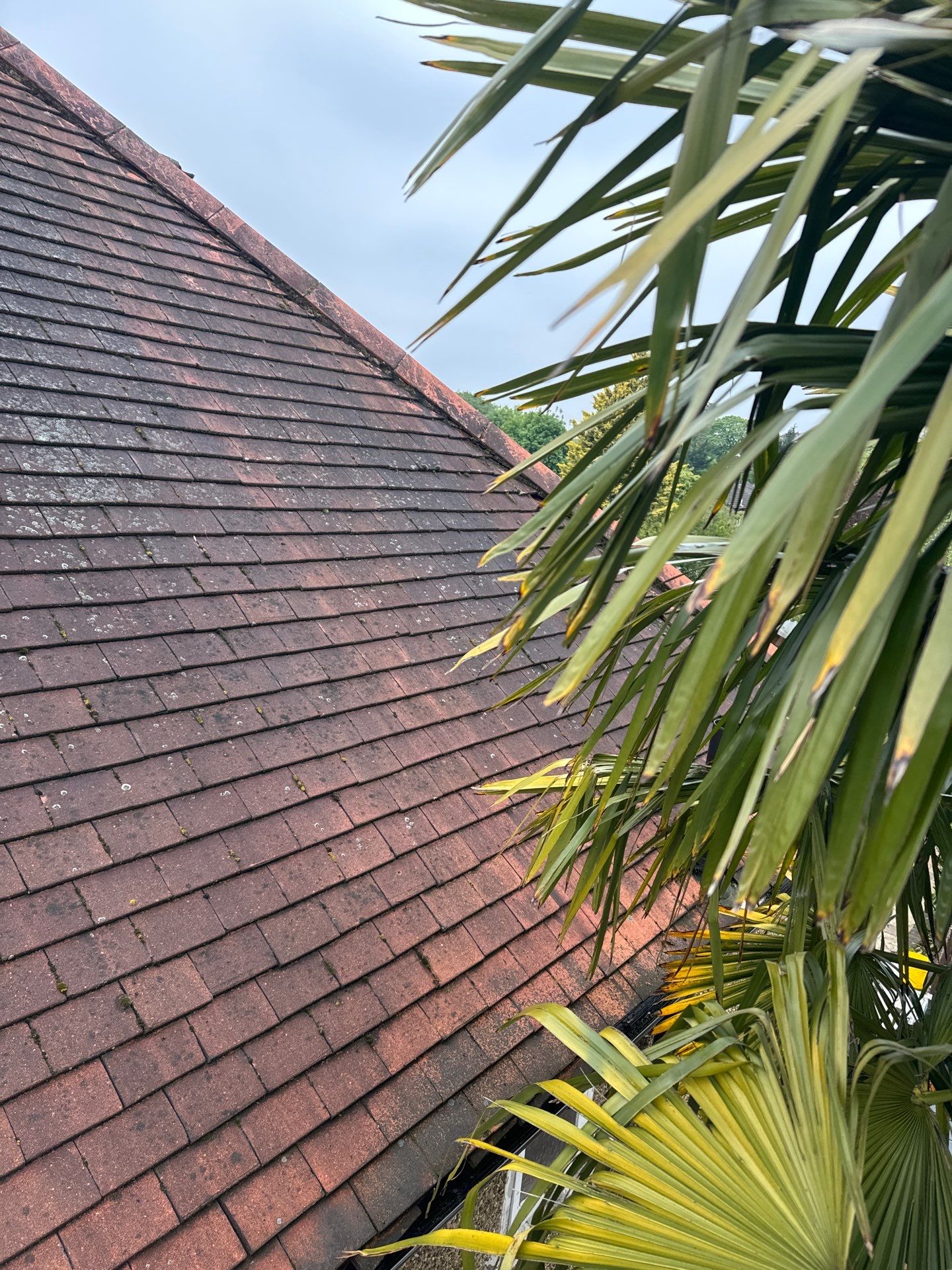 Exterior Clean - Roof - Patio - Driveway using honda 21 ltr/min by Ges Exterior Cleaning ltd