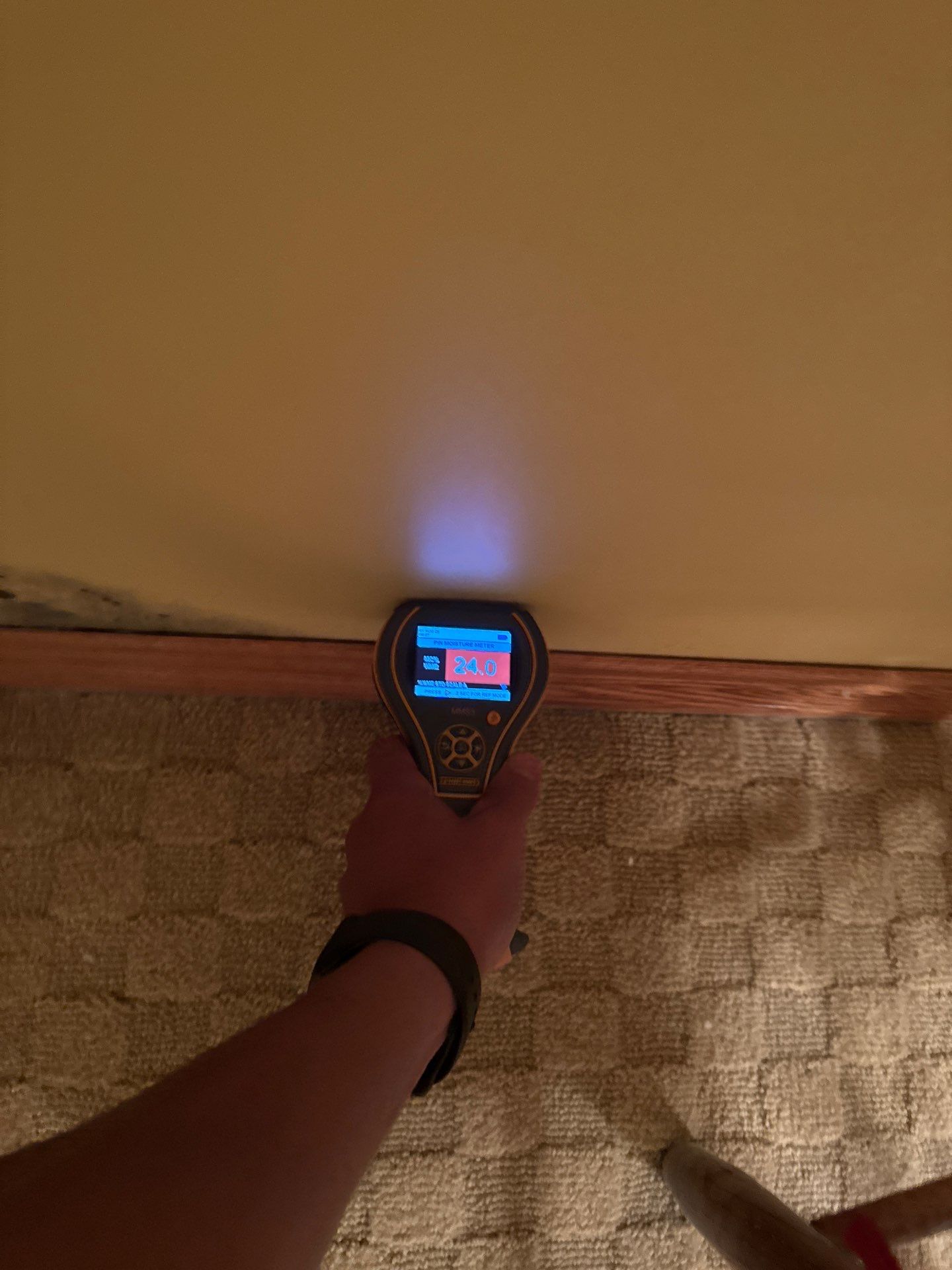 Project in Novi by EzDry Water Mitigation & Property Restoration