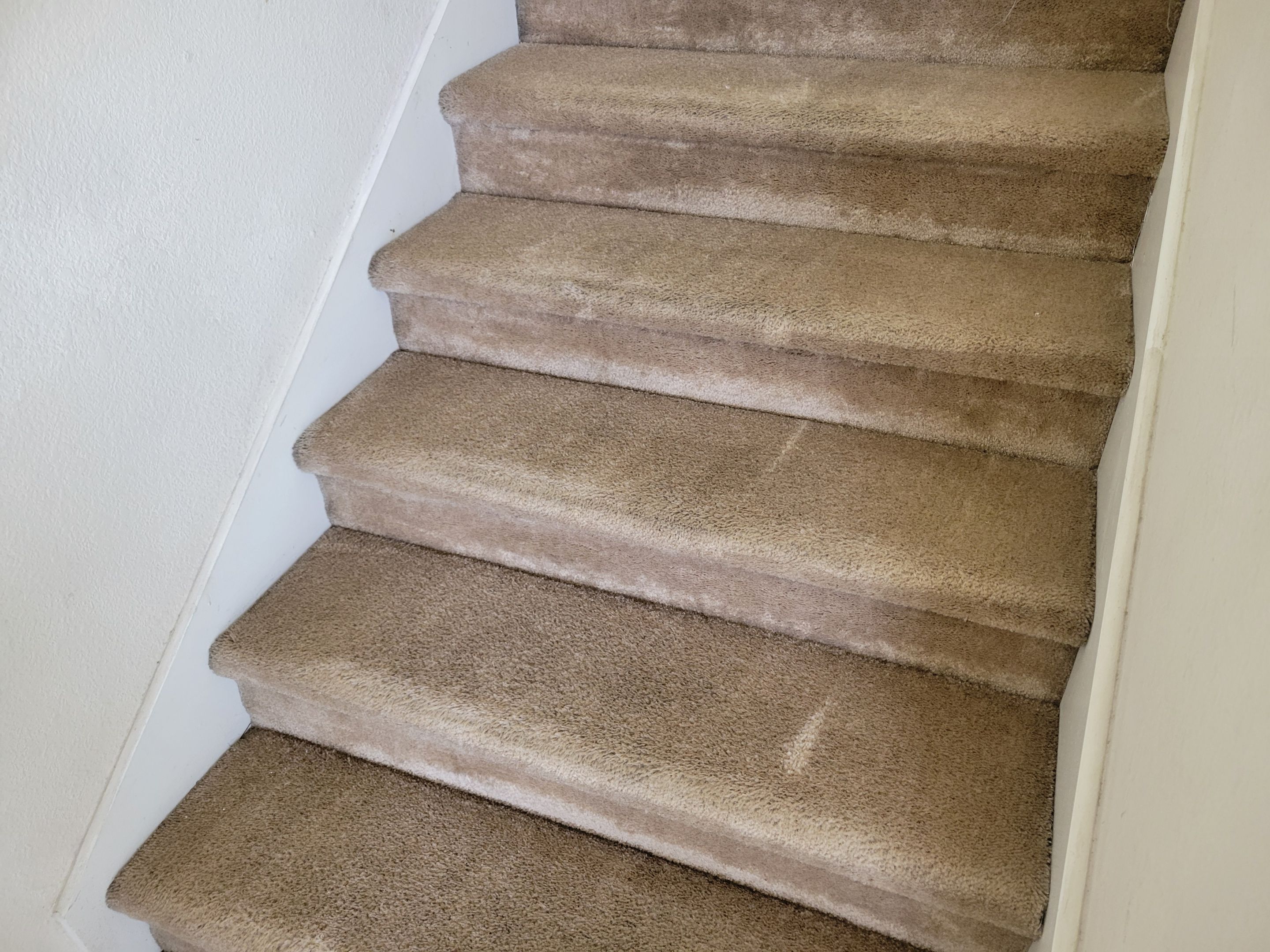 Cleaning Heavily Soiled Stairs and Entryway by Ardent Carpet Restore LLC