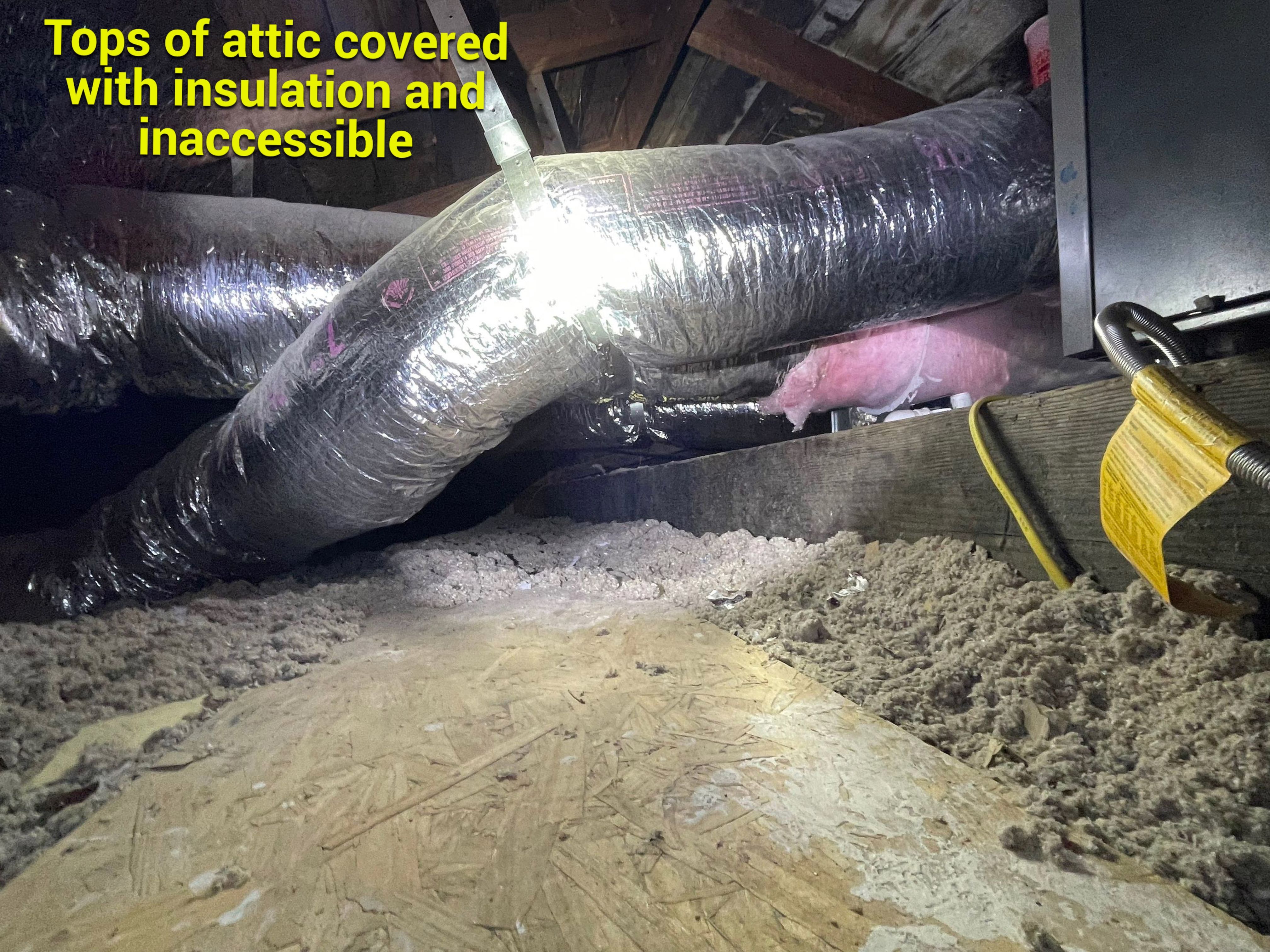 Wood Destroying Organisms Report by GLOBAL Termite Solutions