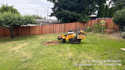 Seattle Stump Grinding & Lawn Restoration