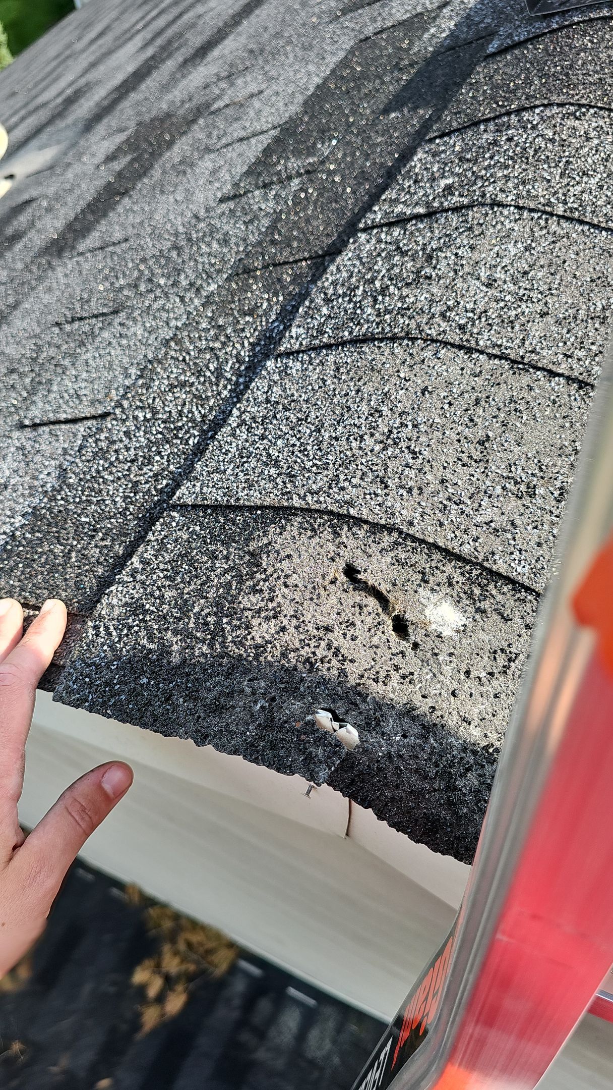 Weather Max Panel, Color: Ebony by Eagle Eye Roofing