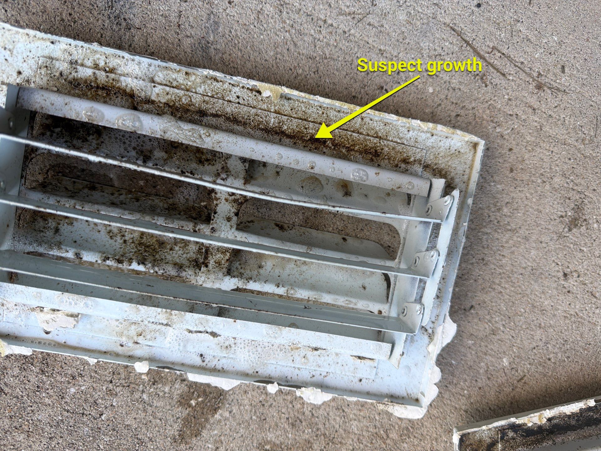 Air Duct Cleaning in Clermont by Hygienic Air, Inc