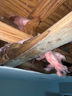Roof Leak Water Damage — Pensacola, FL