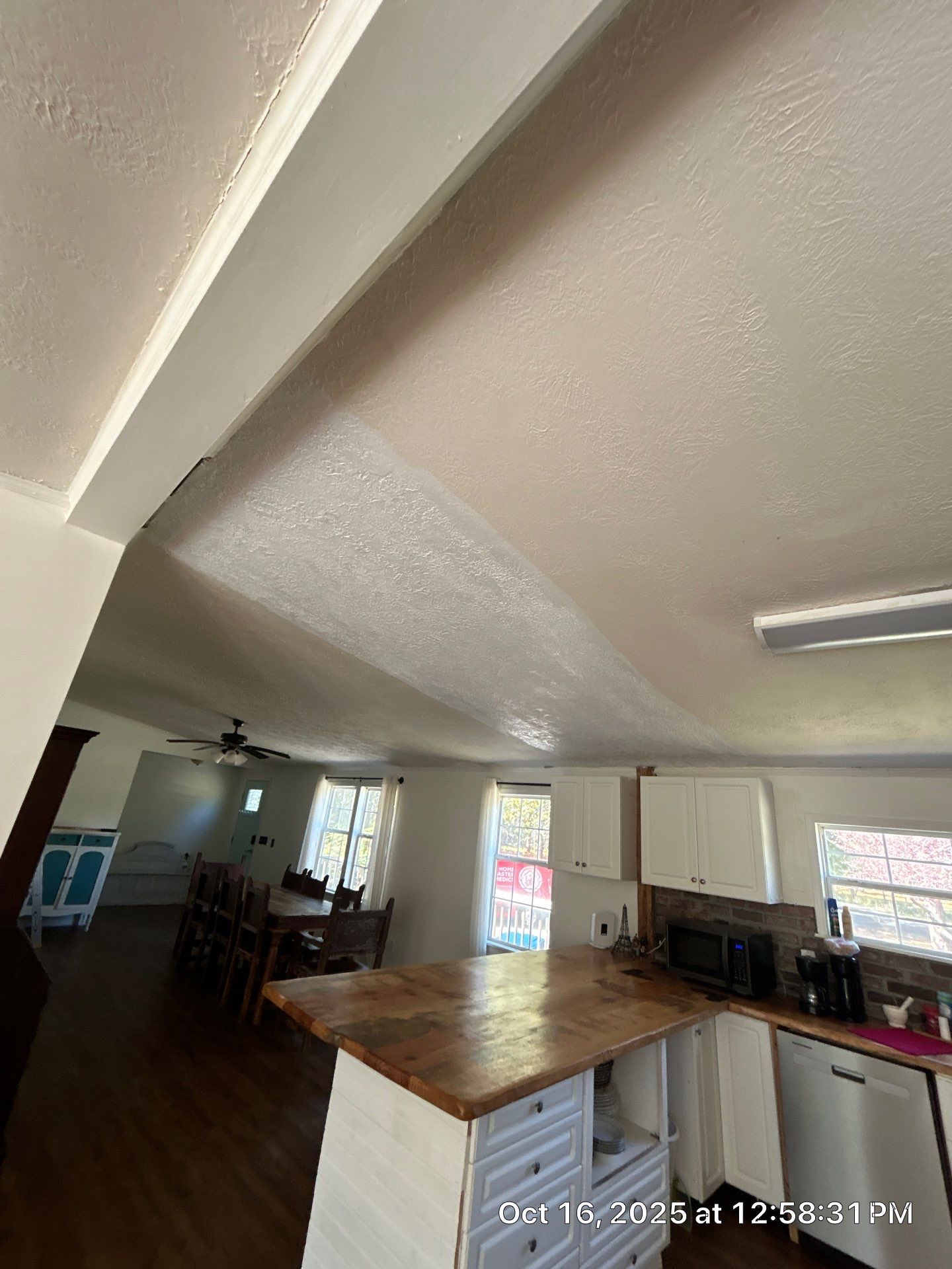 Ceiling Mold Removal by Home Disaster Medics