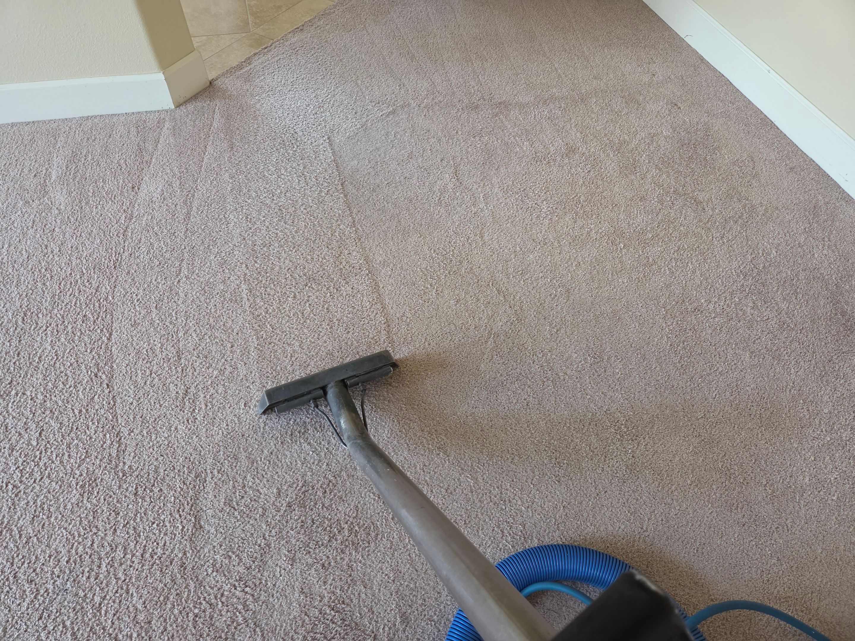 Carpet Cleaning and Stain Removal in Shingle Springs by Ardent Carpet Restore LLC