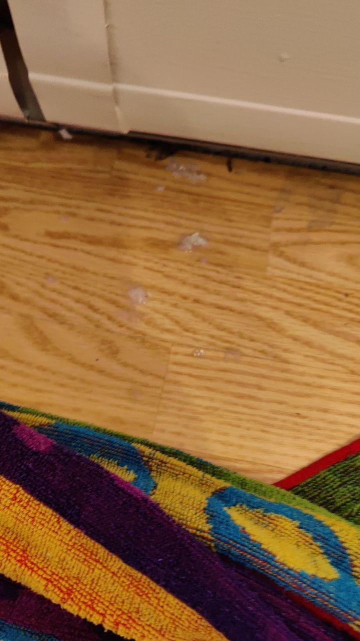 Water Damage by Accountable Home Services