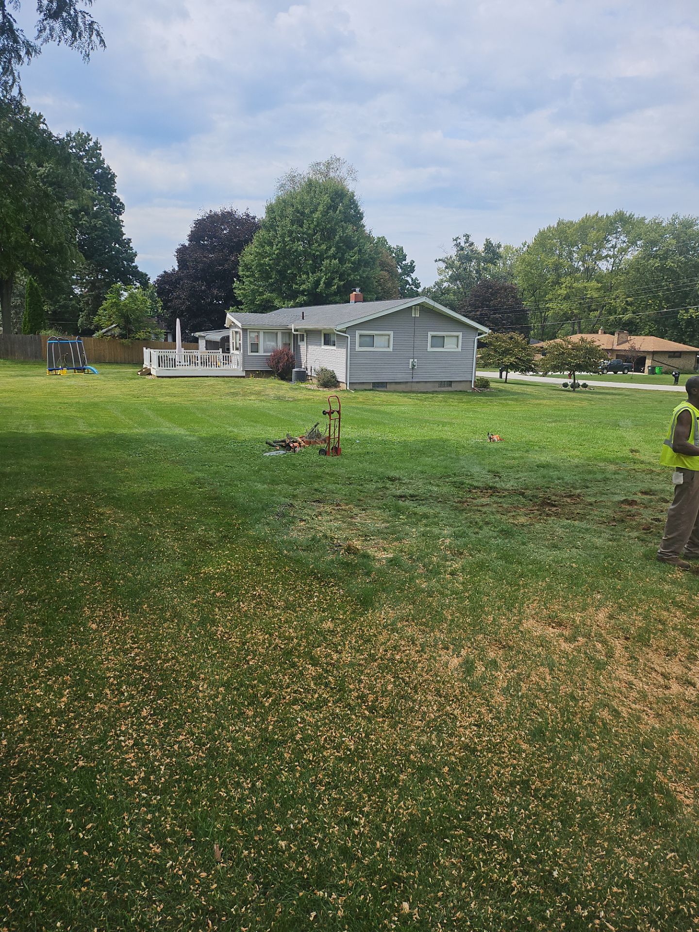 Tree Removal using Tree Removal by Mike Jones & Sons Tree Service LLC 