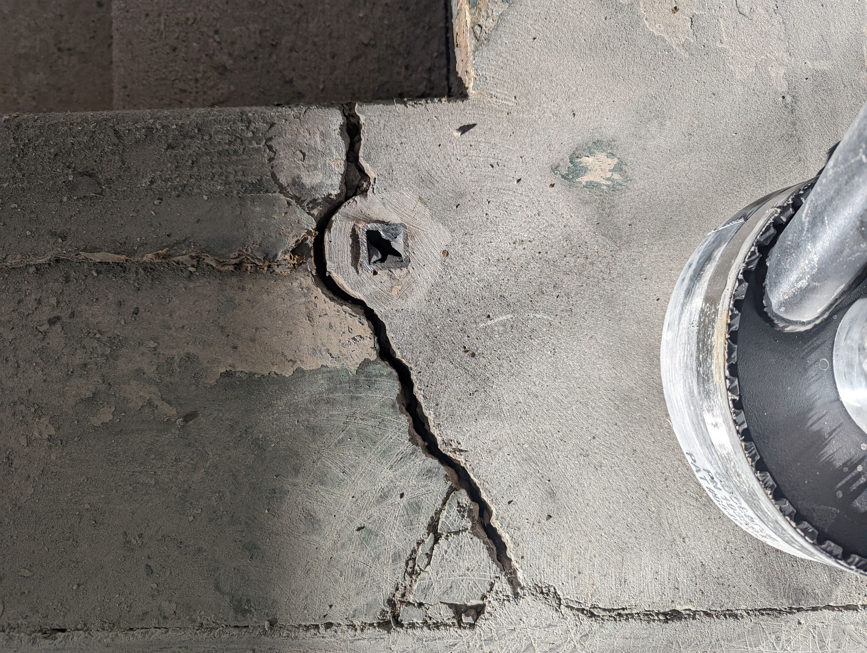 Garage using Domino  by Select Painting, Coatings & Garage Cabinets