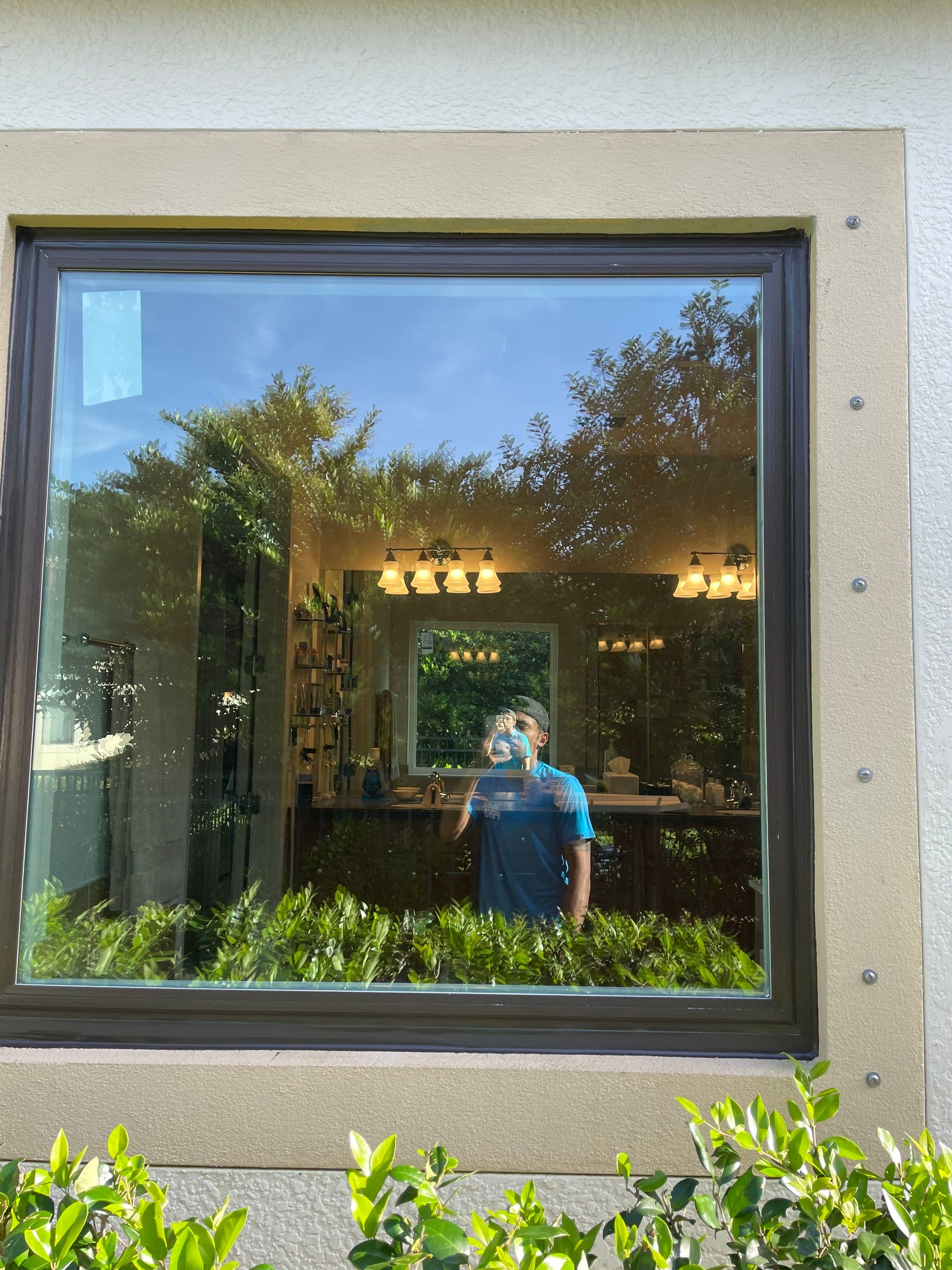 Bronze Single Hungs & PW's by NewSouth Window Jacksonville