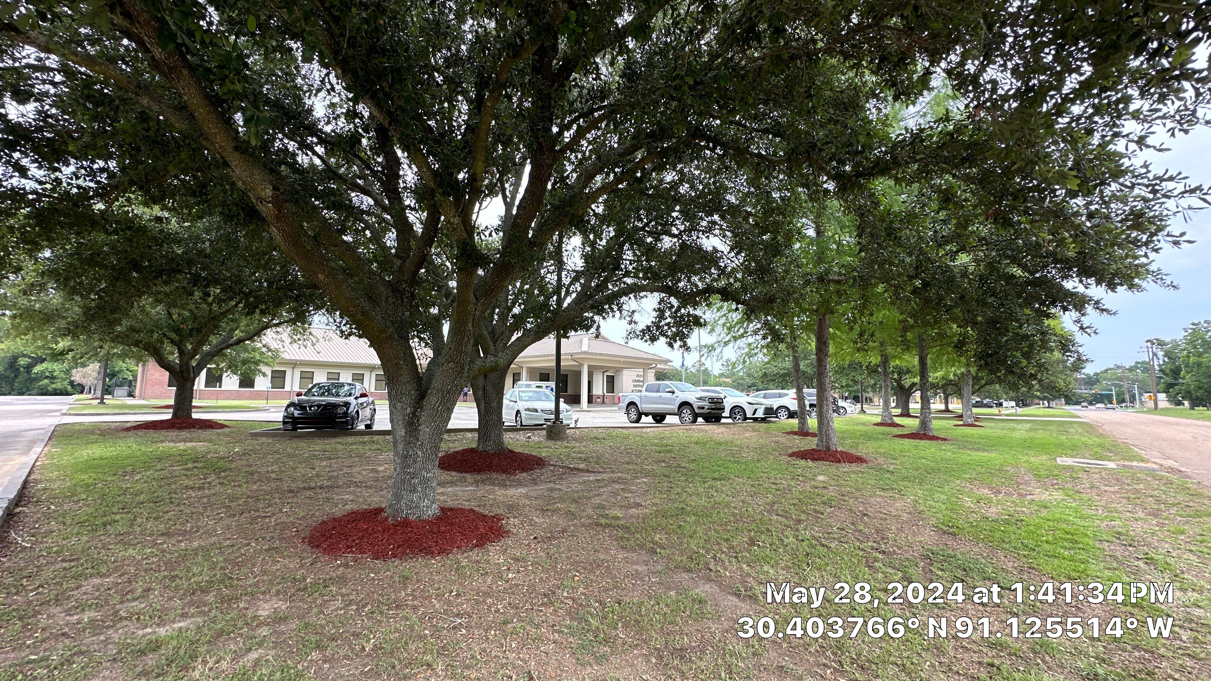 COMMERCIAL: BED CLEAN / MULCH INSTALL  by CutScape, LLC.