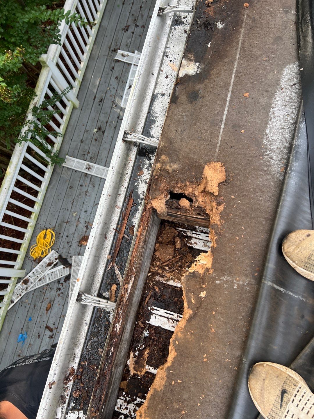 Alexandria: Residential Flat Roof Replacement with MuleHide TPO by RM Banning, Inc.