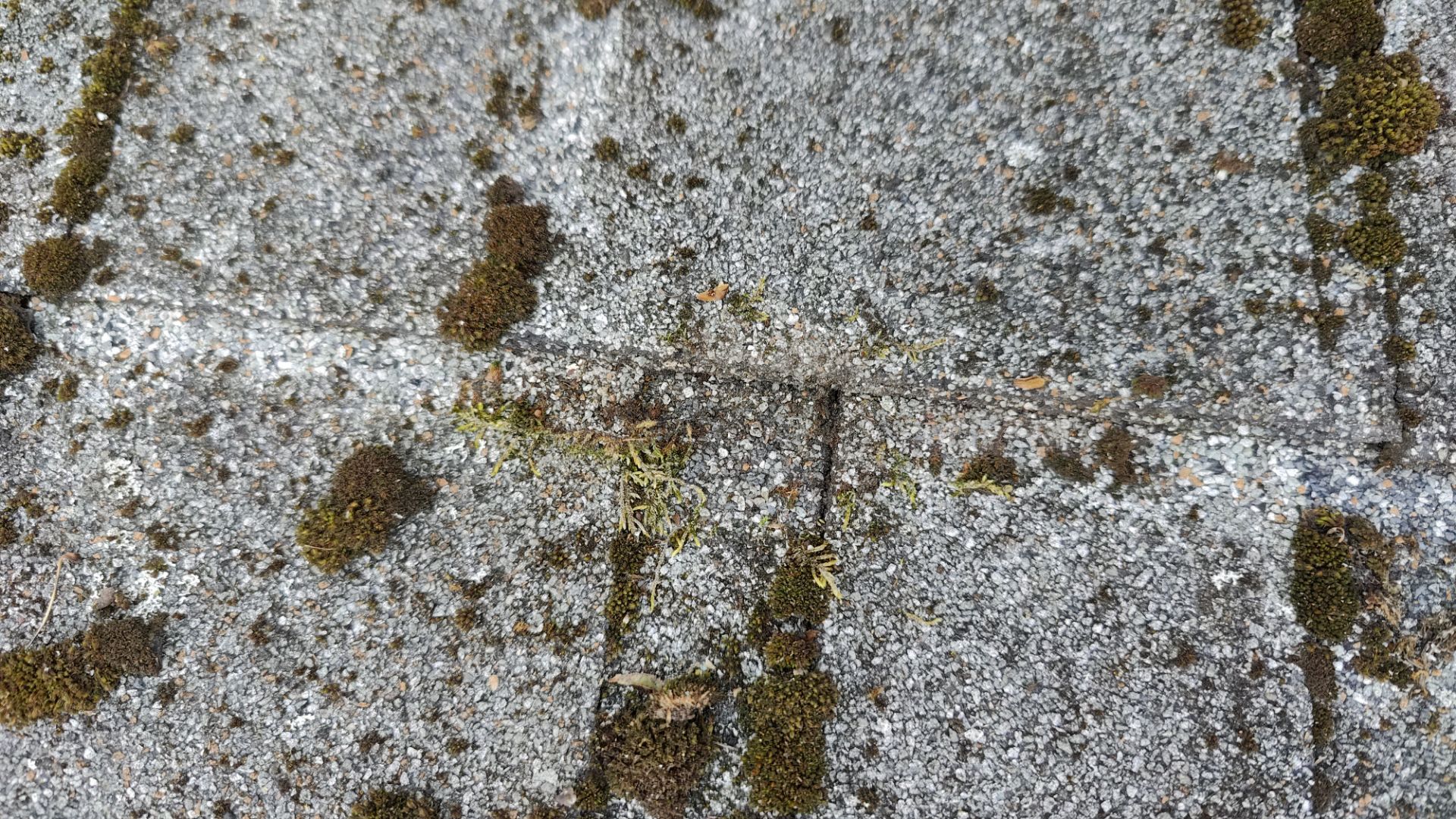 Roof Replacement using Owens Corning Midnight Plum by 180 Contractors