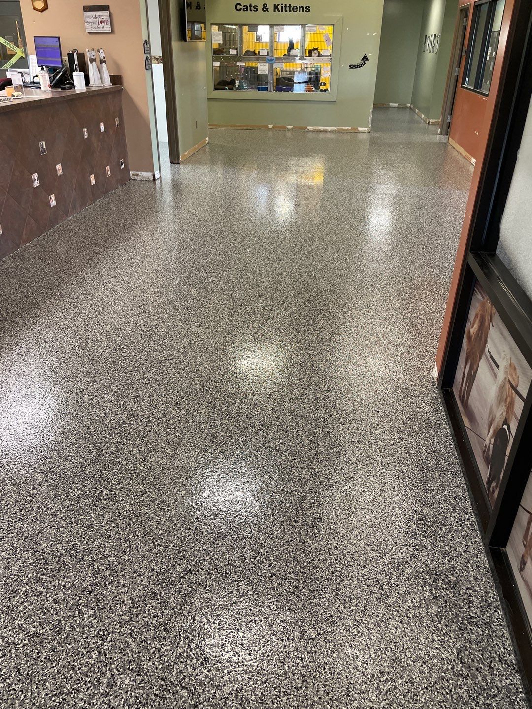 Humane Society by Granite Garage Floors