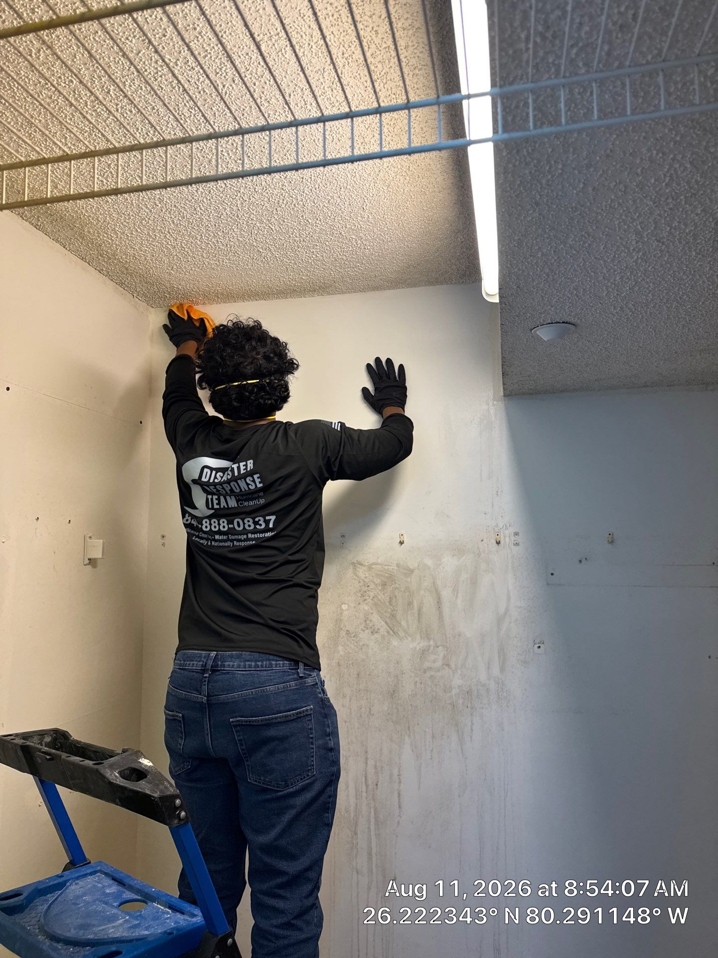 Comprehensive Mold Remediation and Moisture Control in Tamarac by SuperClean