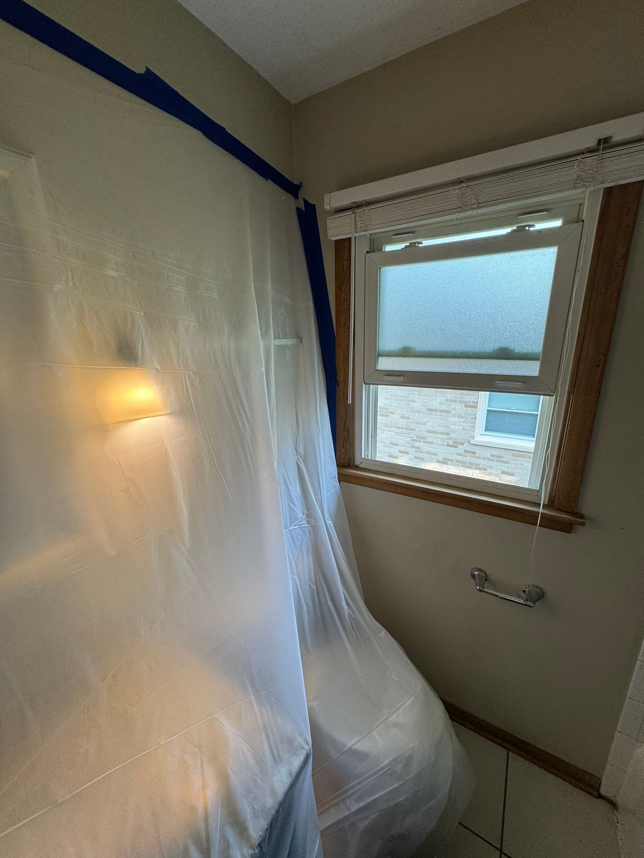 Bathroom Mold by Chicagoland Water Medics