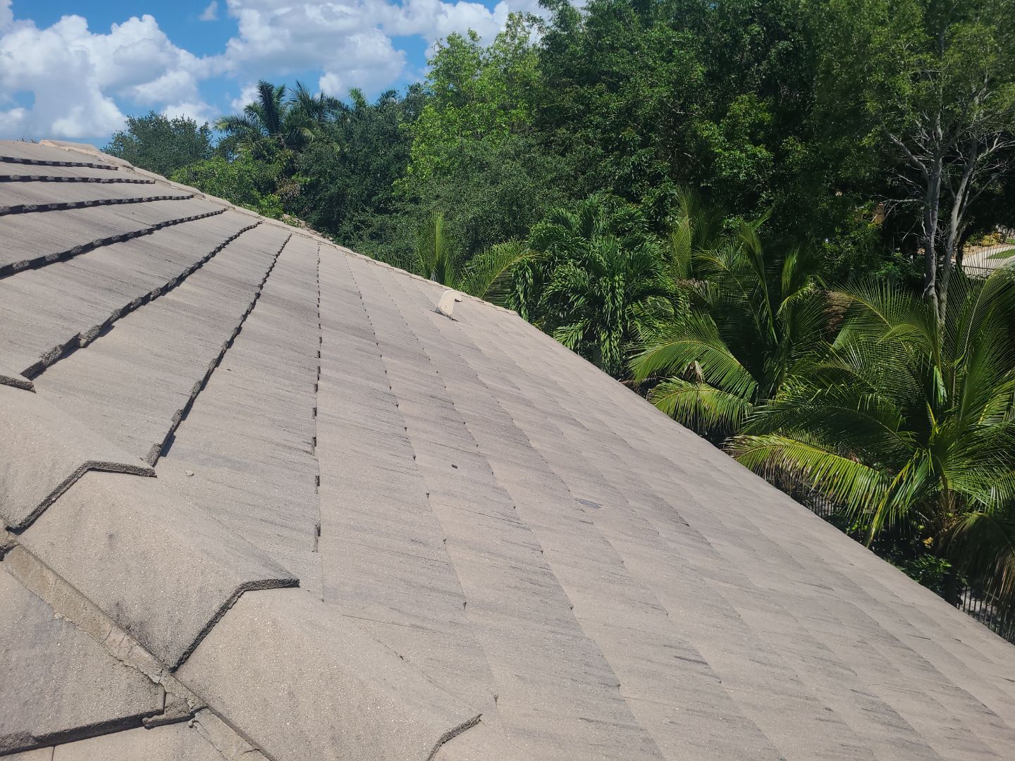 Concrete Tile Roof Repair and Underlayment Replacement in Wellington by Aastro Roofing