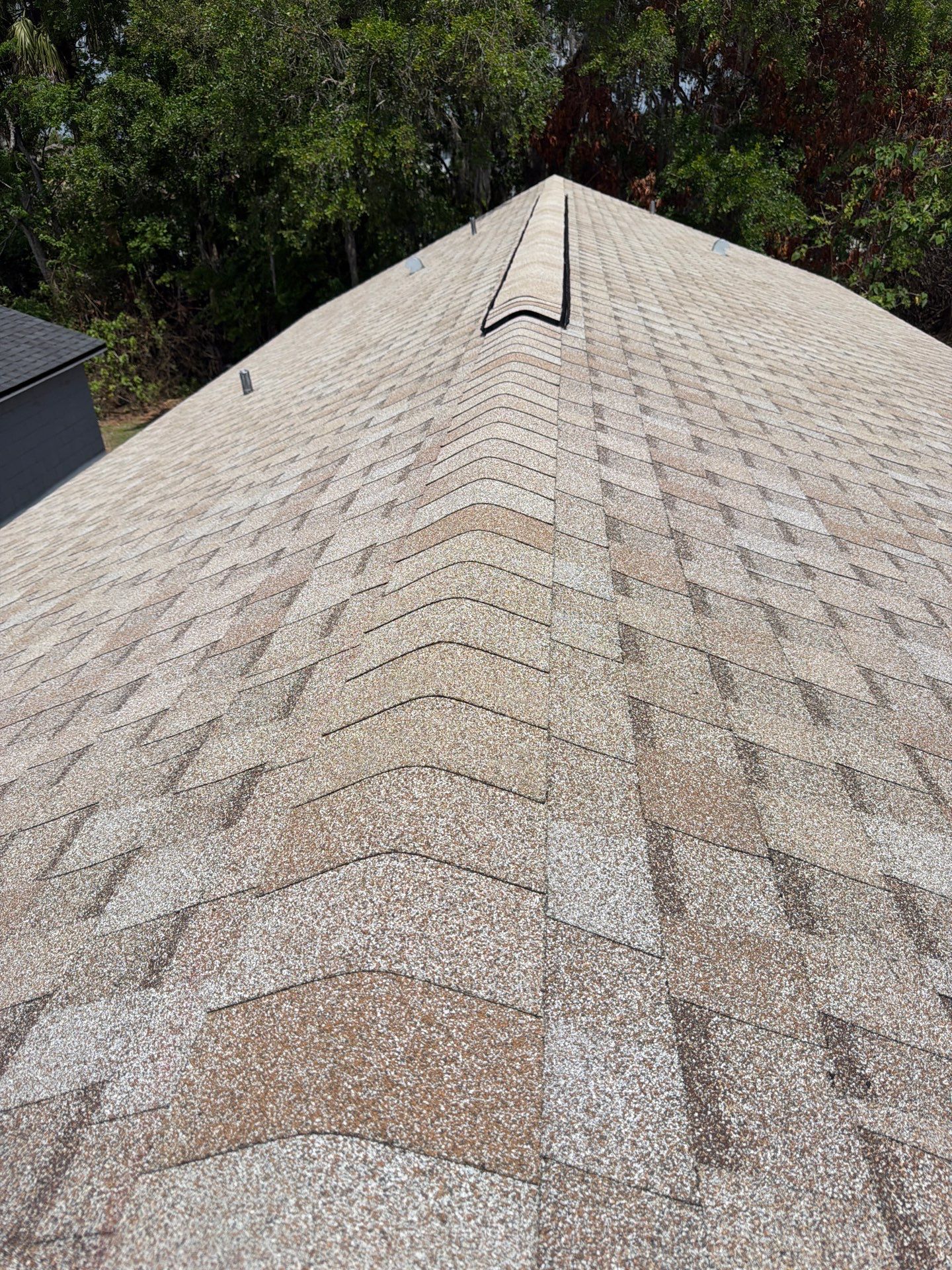 Shingle Reroof Replacement Sanford FL by Pinnacle Roofing Group