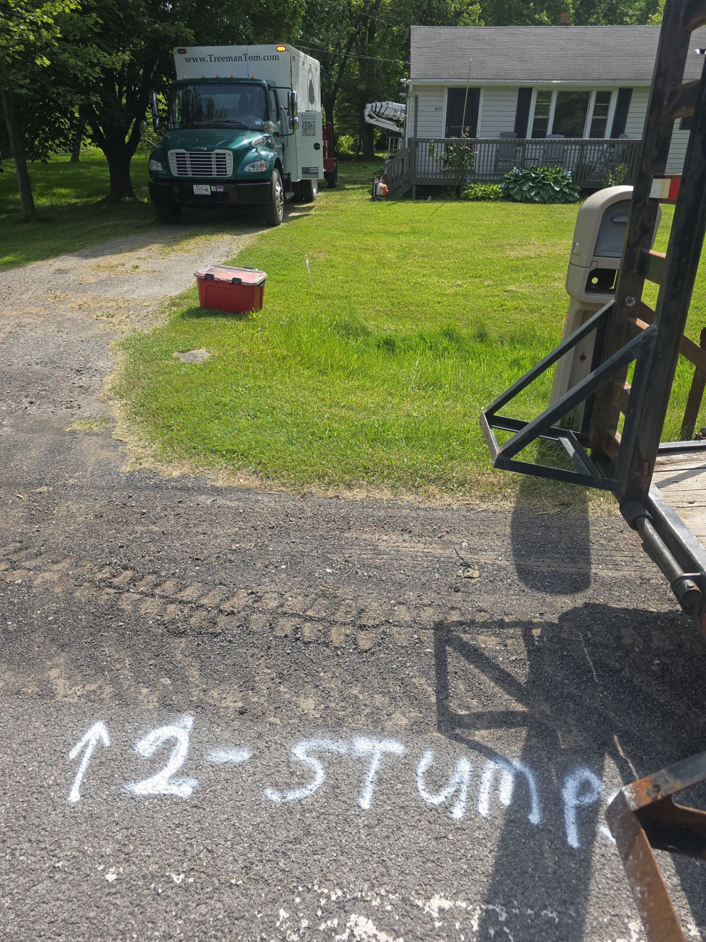 Removal for Future Projects  by Treeman Tom LLC