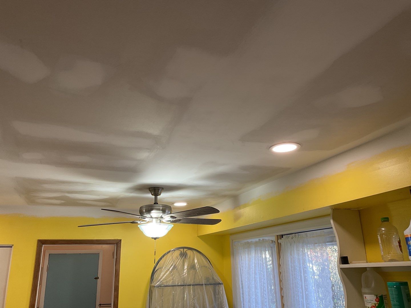 Ceiling Repair by Alpha Design Services