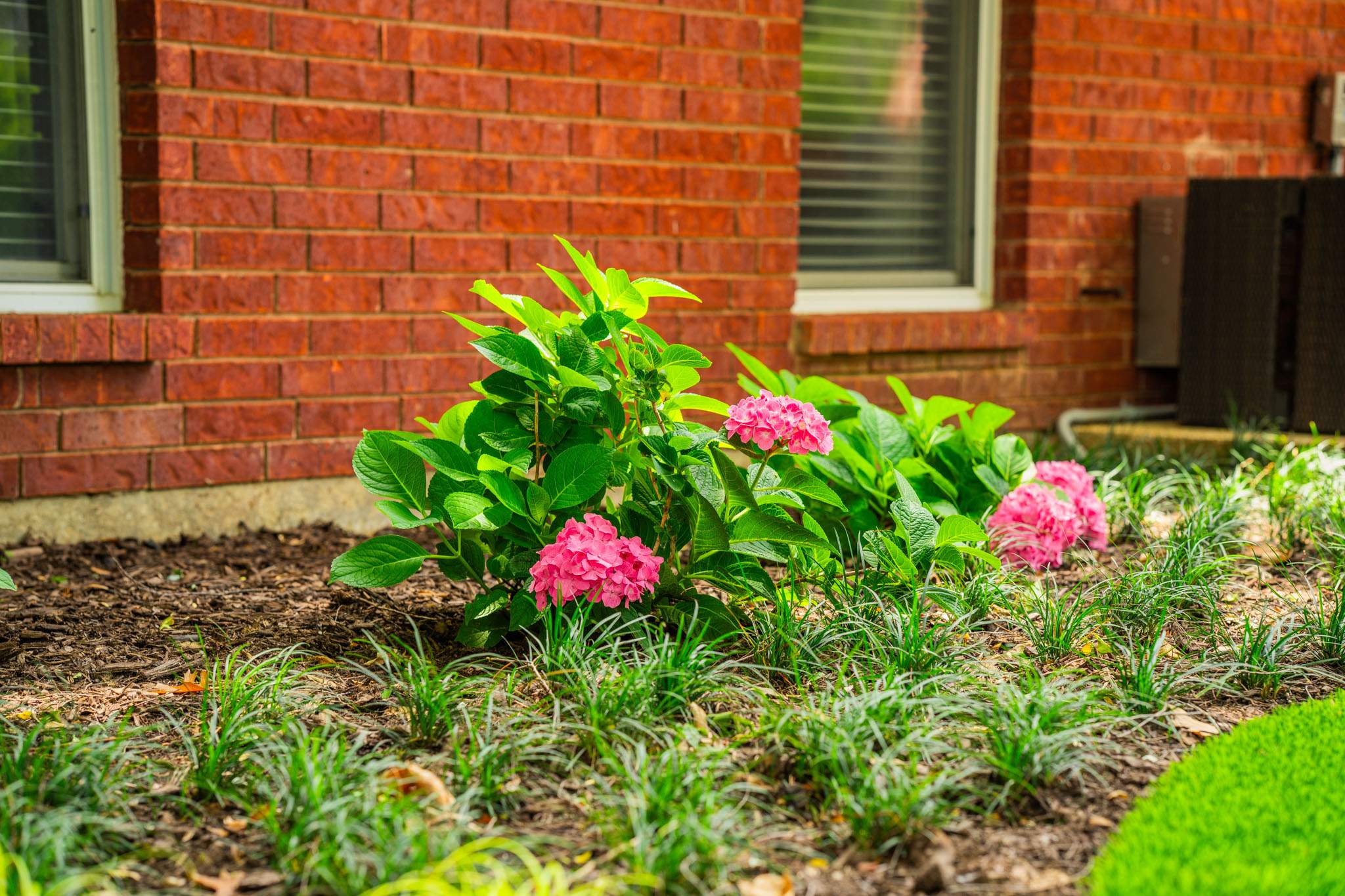 Disjointed to Defined Landscaping by Complete Exterior Solutions