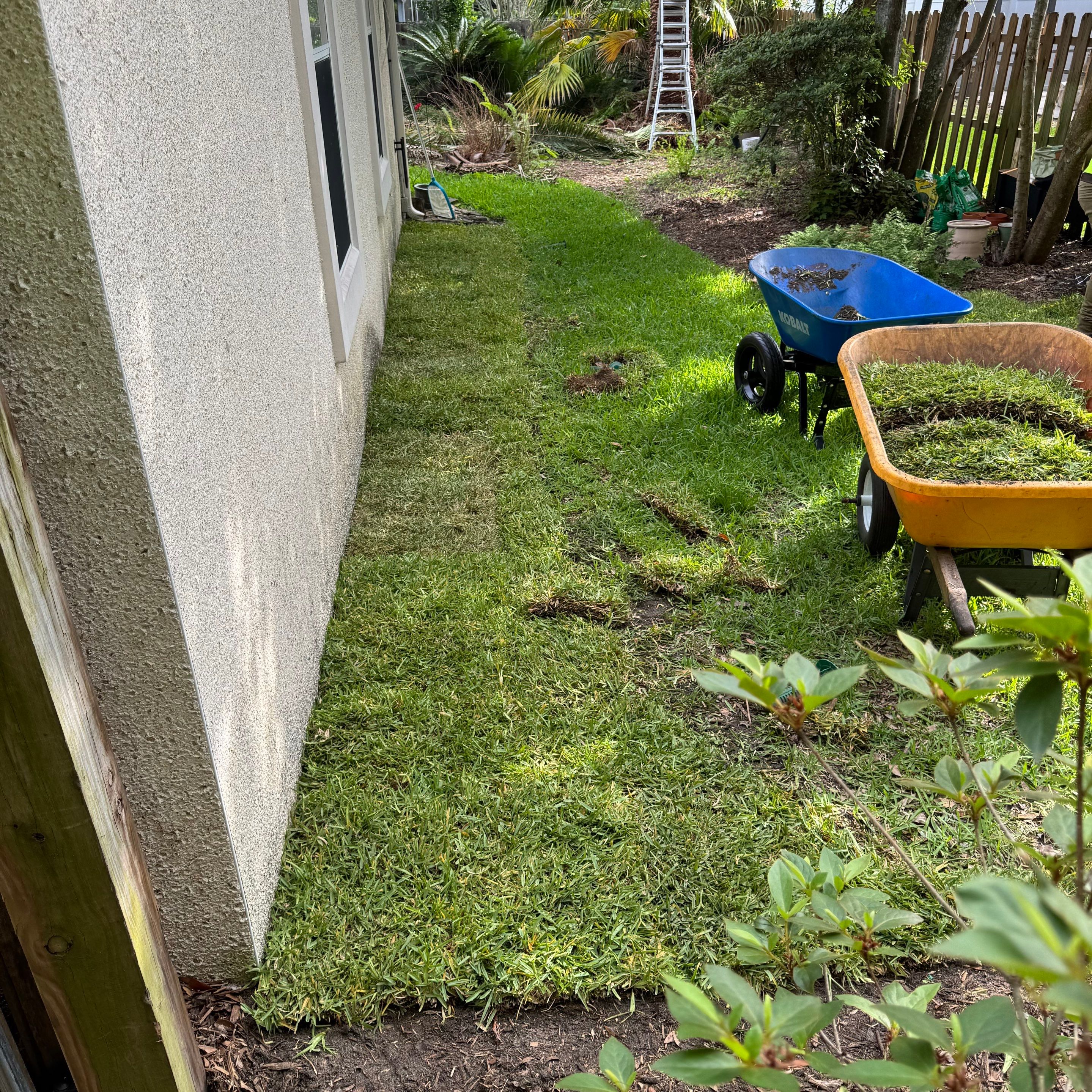 Deerwood Resident | Tree Trimming & Sod Install by ProGreen Services