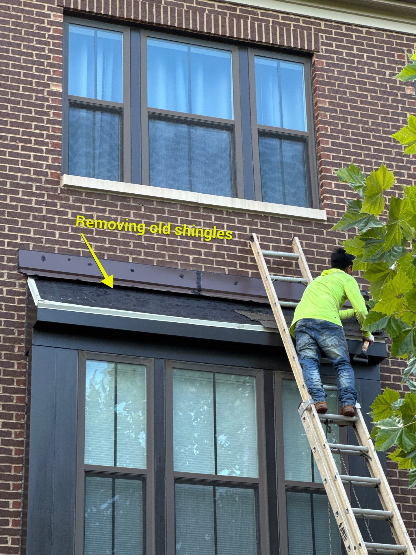 New Shingle Roof Installation  by Alpha Design Services