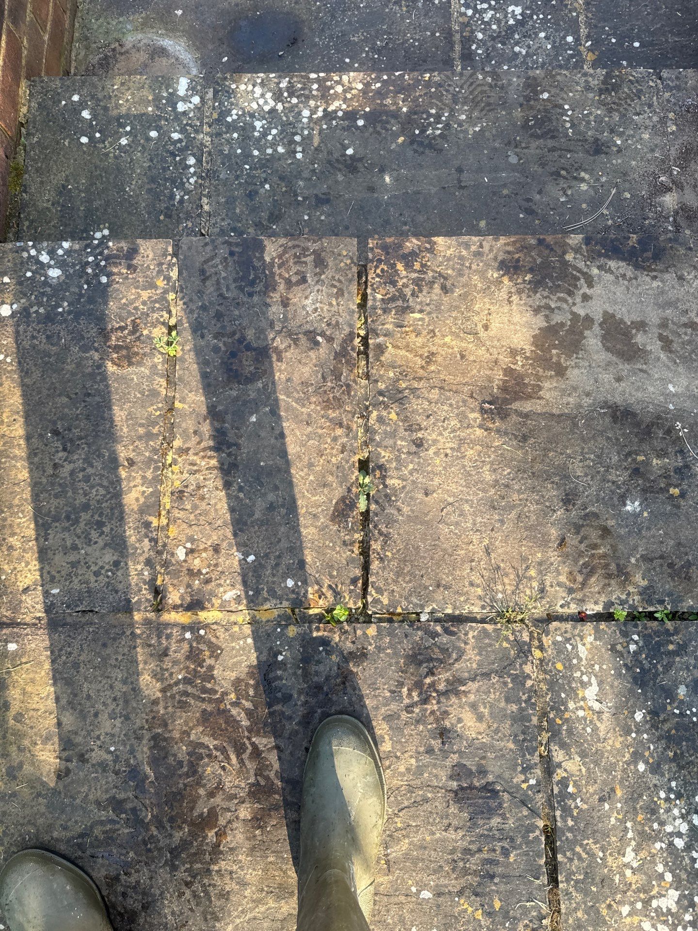 Patio Area Spring Clean using 18inch Whirlaway FSC by Ges Exterior Cleaning ltd